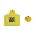 RFID Ear Tag